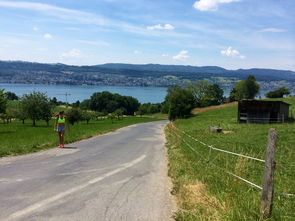 Jiu You-“缆绳滑水：东桃花岛赛场呈现全新水上运动魅力”