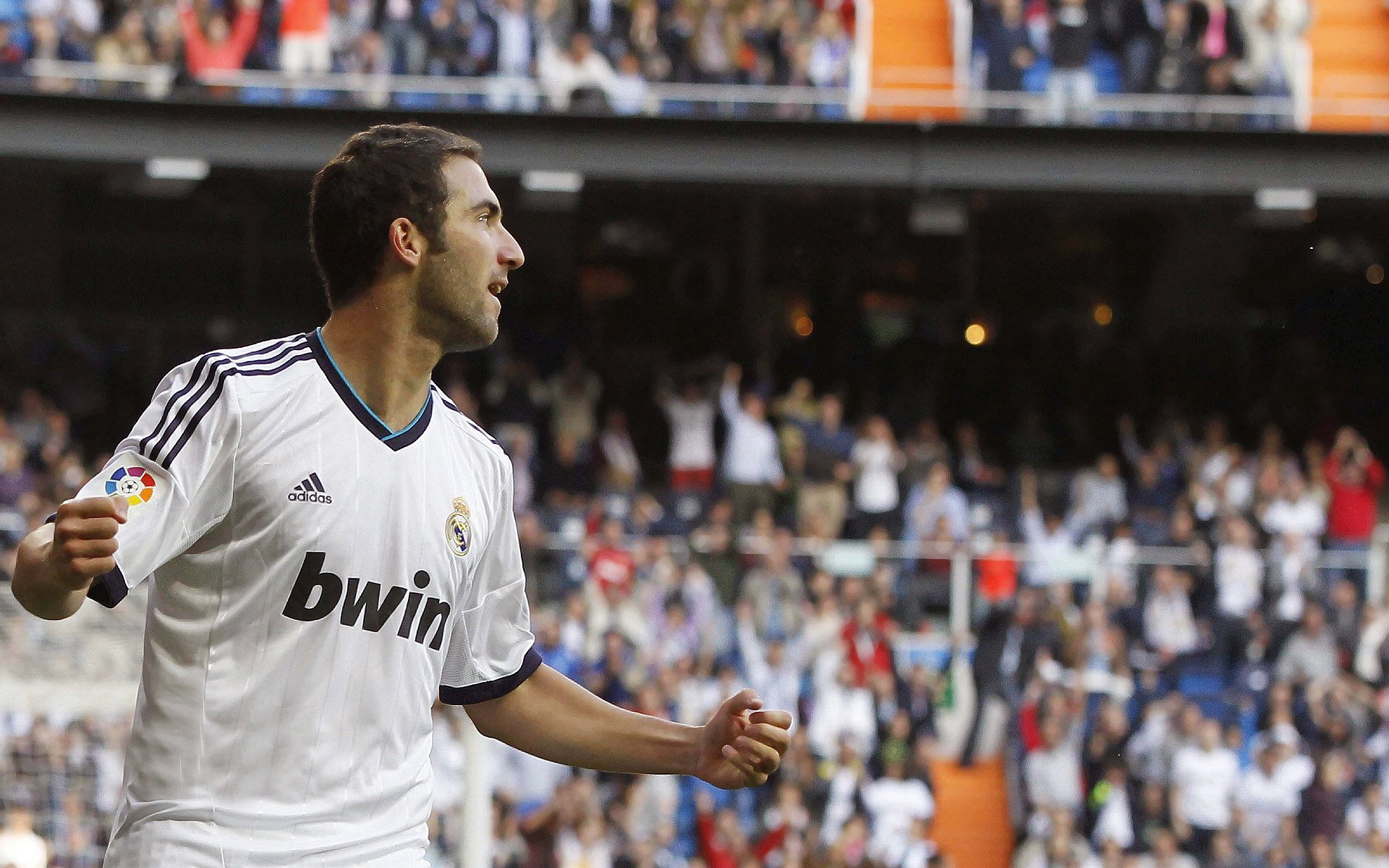 九游jiuyou-“霍斯特助力南非羚羊队稳守阵地，向世界冠军迈进”